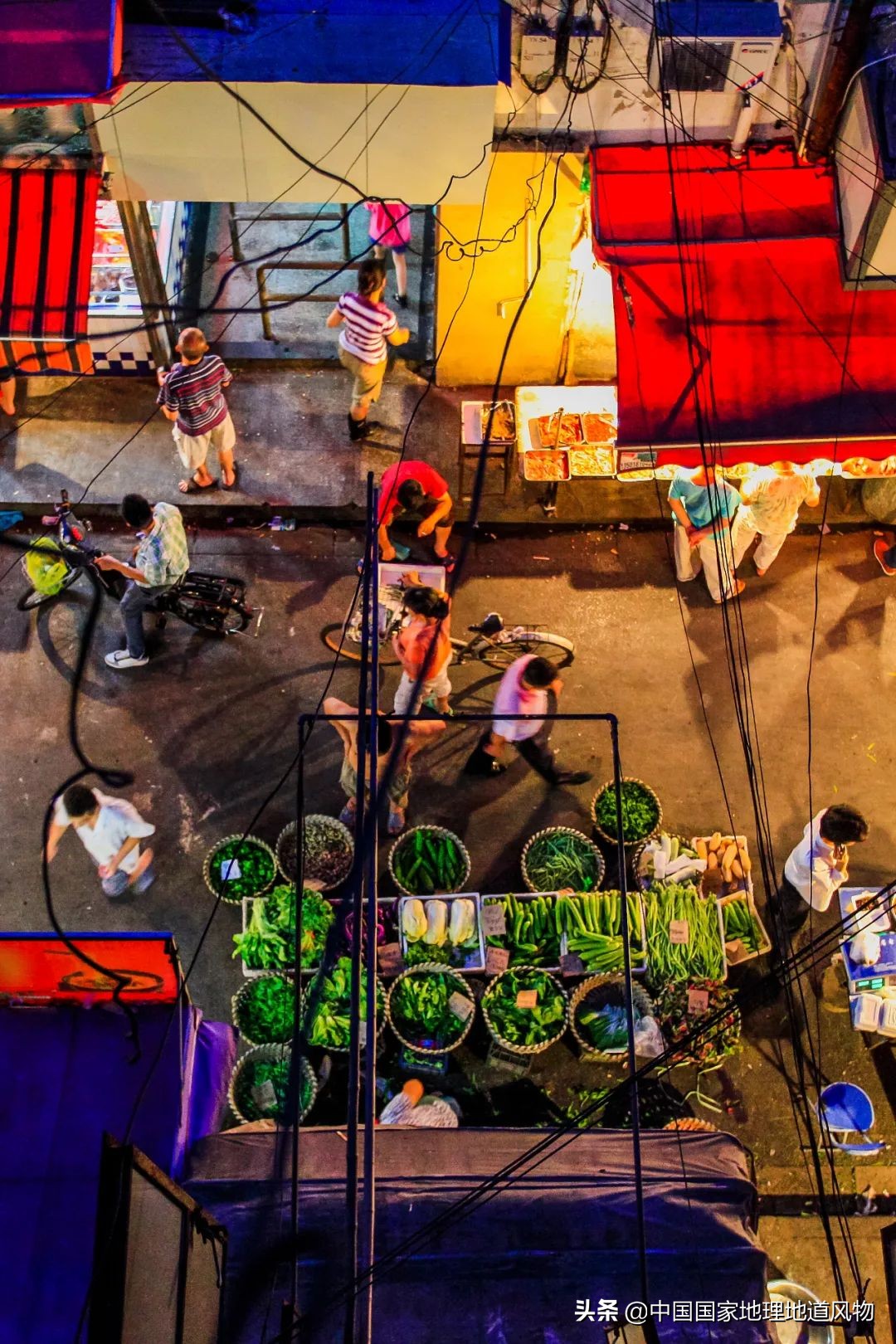 助力蔬菜自由，山东、河南、河北、江苏四省，种菜到底有多猛？