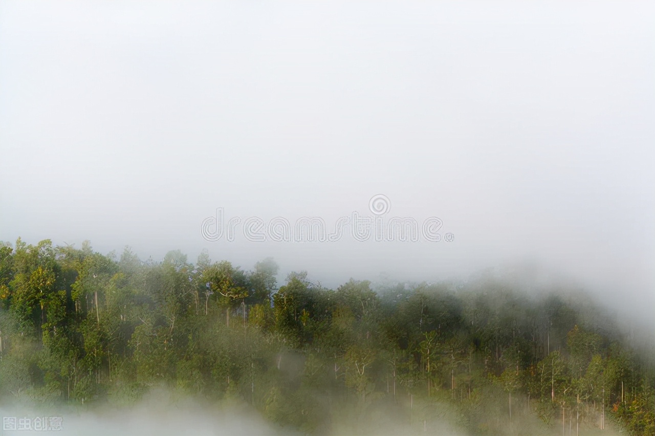 高中英语阅读策略的解读、现状、实践和反思