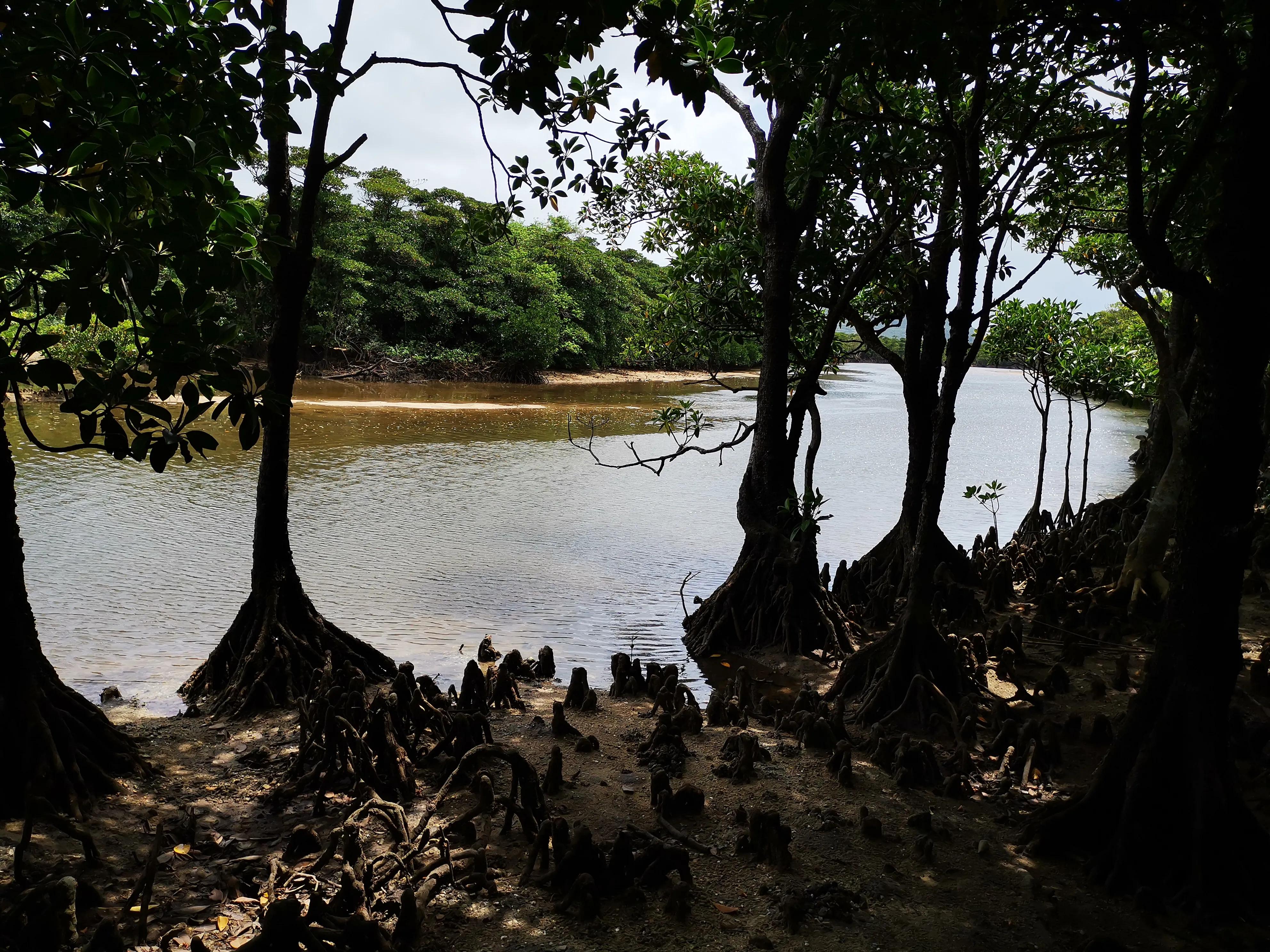 诗词飞花令：路