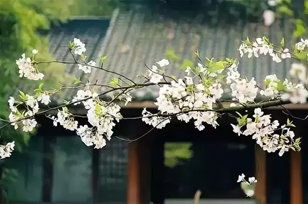 《人生海海》：层次越高的人，越懂得放低身段