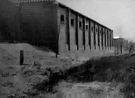 1981年，河南1 动物园2只老虎被害，警察凭1条绿腰带锁定屠虎凶犯