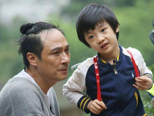 张智霖儿子晒撸猫日常，魔童眼神温柔颜值高，费曼留言梦幻联动