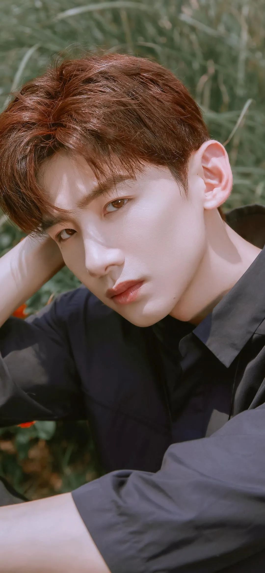 精选男明星壁纸合集｜秦霄贤｜白敬亭｜胡歌｜车银优｜陈立农