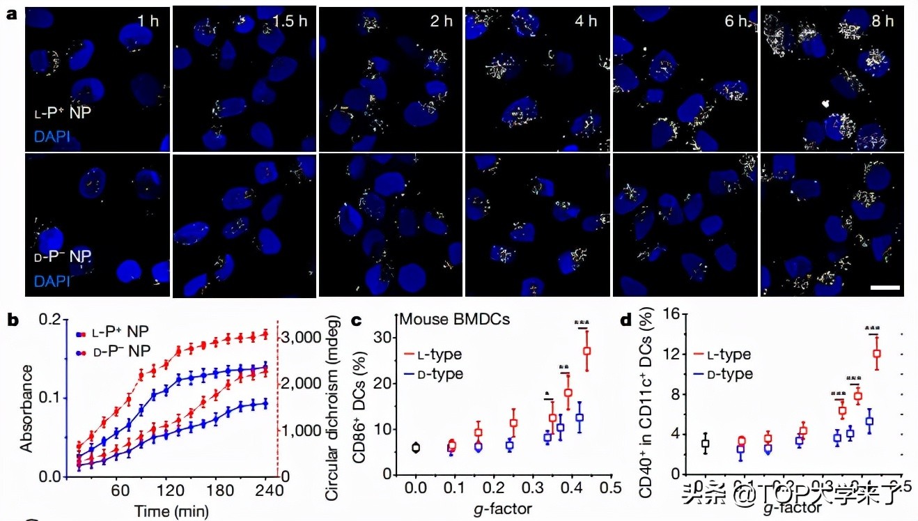 重大突破！江南大学建校以来首次以第一单位发《Nature》