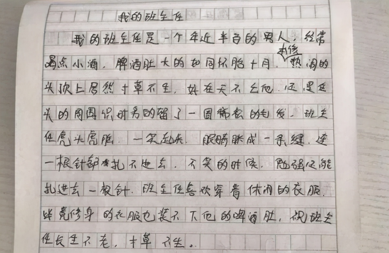 “老师的头发像蒲公英，风一吹就没了”，小学生爆笑作文引热议