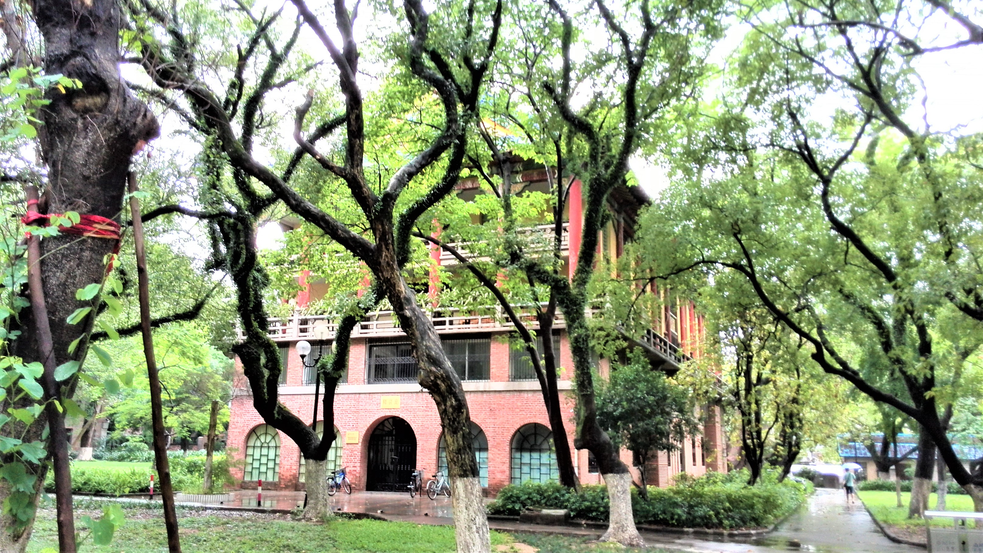 中山大学：广东人眼里的华南一霸，知名度不过长江？