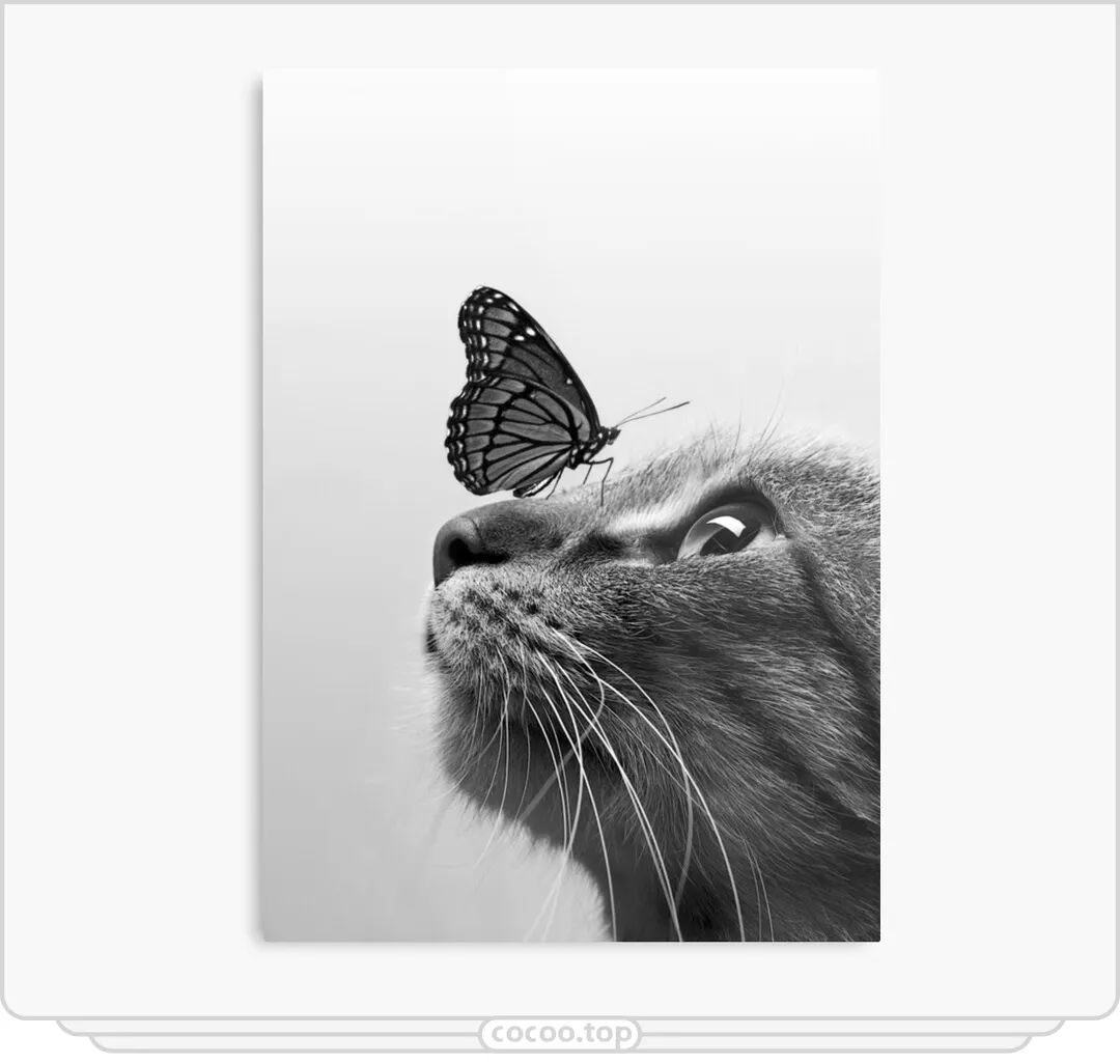 ?選色有什么依據嗎？弄懂色彩的情感與聯想