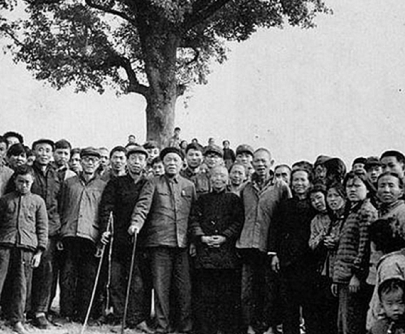 1986�꣬���ȳ�����������ǰ�����������ԣ����������޲���Ȼ����