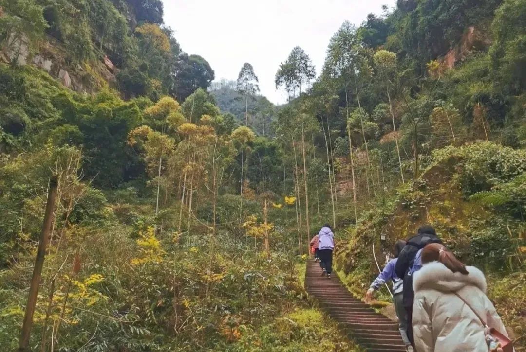 成都周边一日游(1.5h就到！去这个小众地爬山吸氧、看山间石刻佛像、吃生态美食)