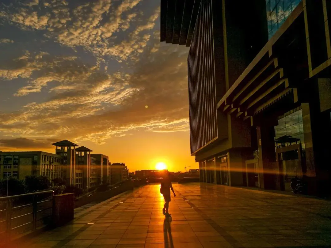 广西师范大学职业技术教育，2022考研难度及往年复试调剂情况分析