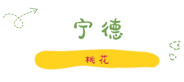 陌上花开春正美，跟着赏花地图“趣”打卡！