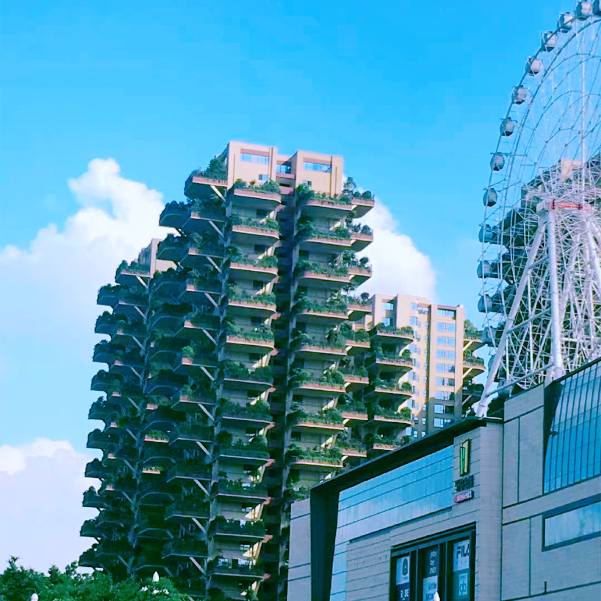 成都“第四代住宅”，每家每户都有“空中花园”，但缺点也很明显