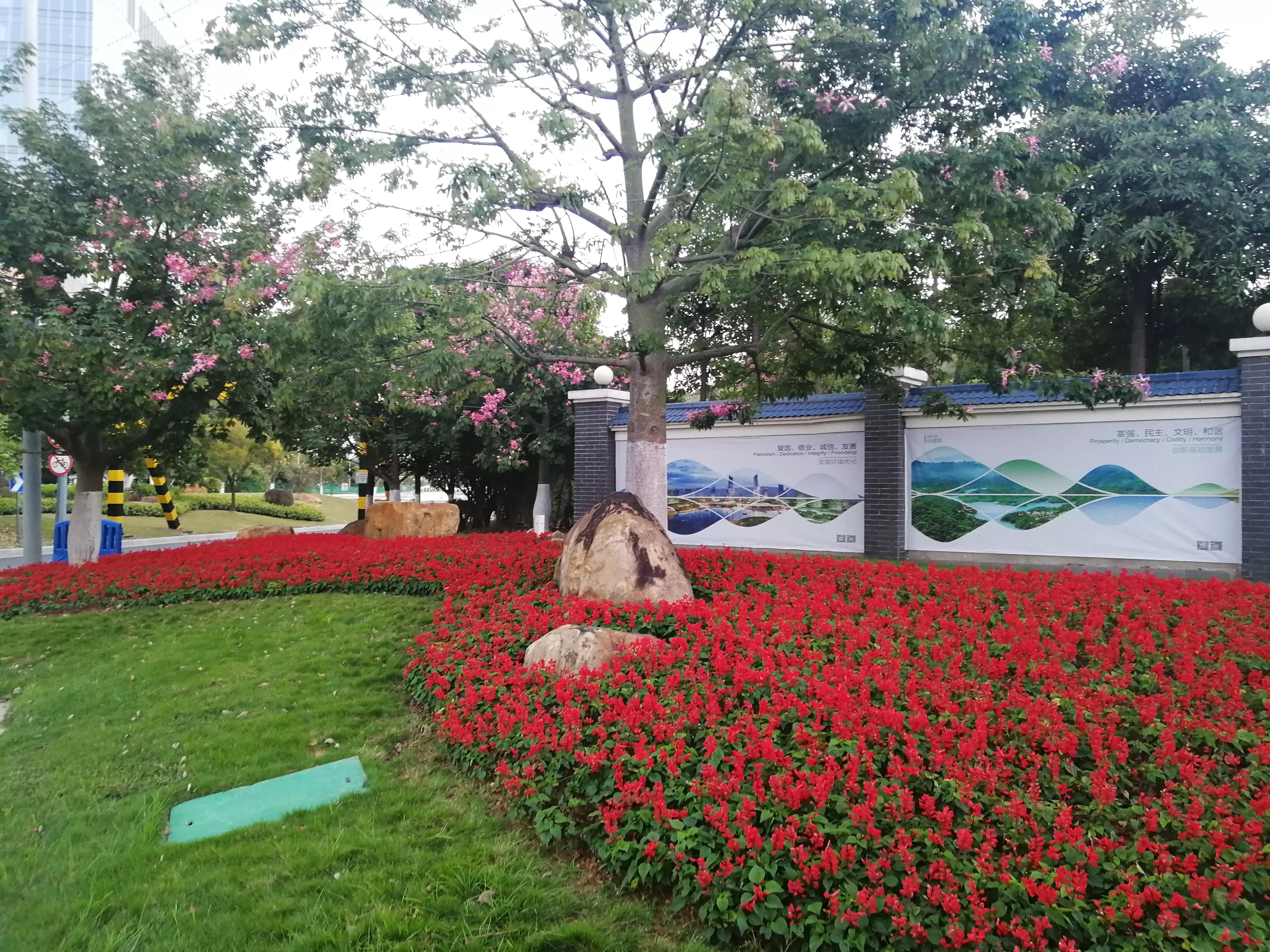 地铁4号线大学城游玩攻略，领略那不一样的广州大学城风光（C篇）