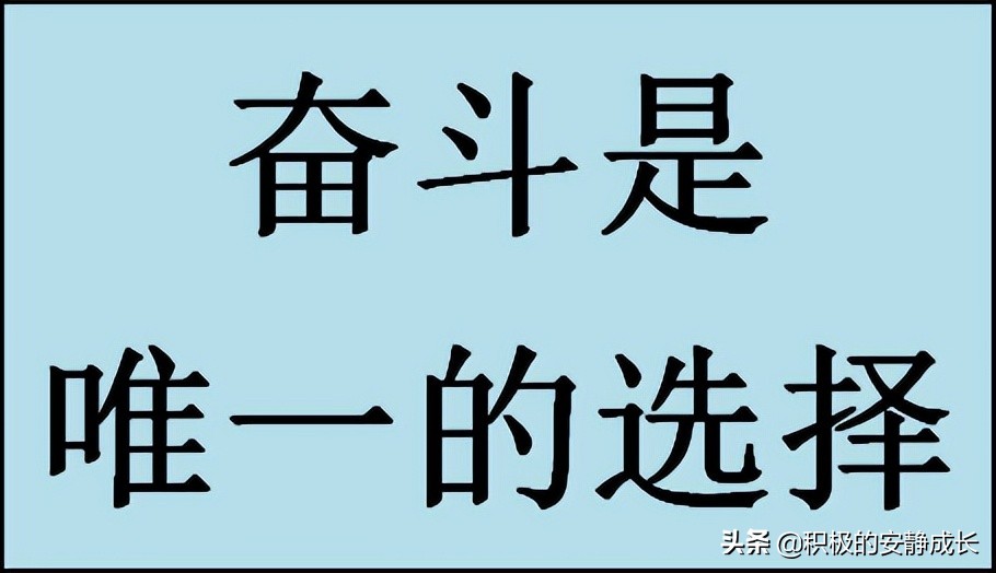 家门口的蚂蚁，让我学到了什么——勤奋努力、永不言弃、和谐有爱