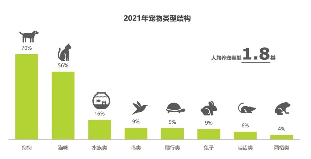 月薪3万的狗德培训，是不是一门好生意？