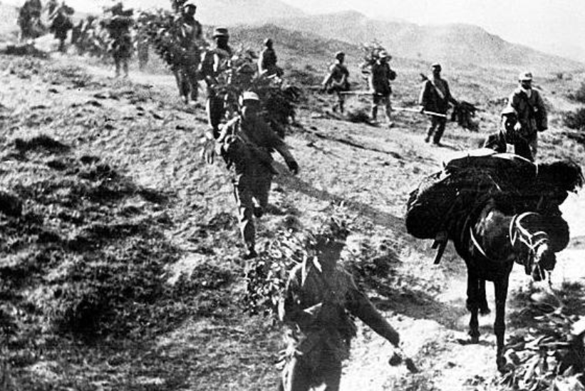 ��ԣ�������ģ�����Ĩ�ڹ������Ͻ����ֲ�����鸦���ǹ¾�ð��