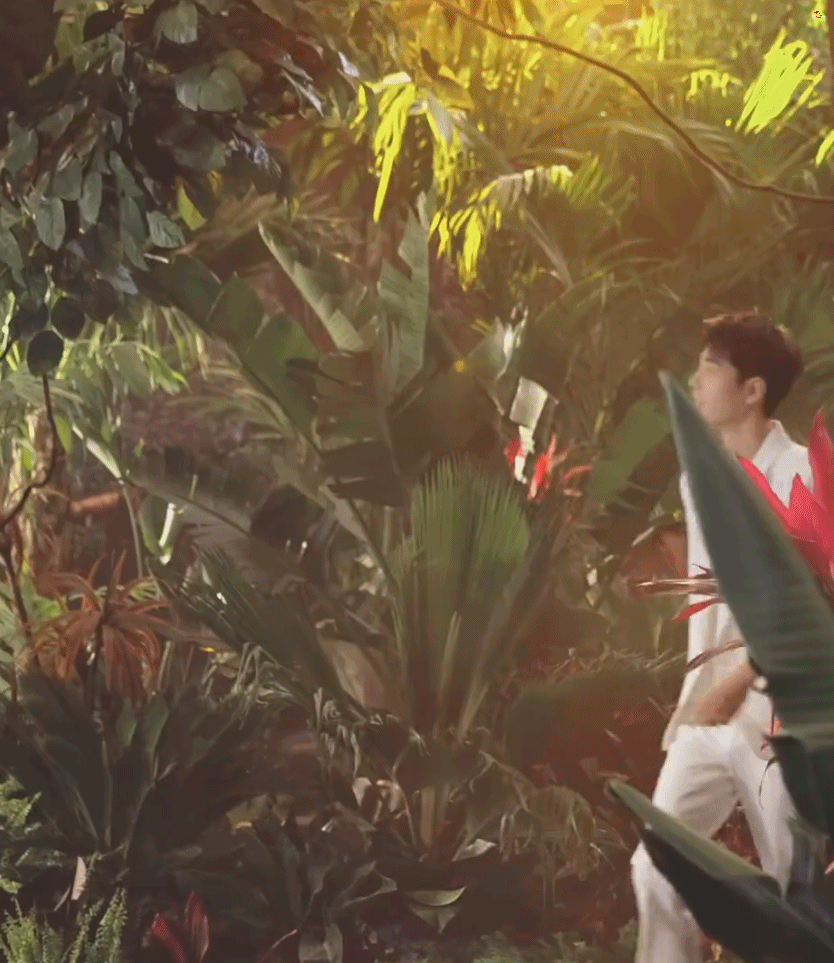 肖战海边的大片，真好看啊，满满的少年感