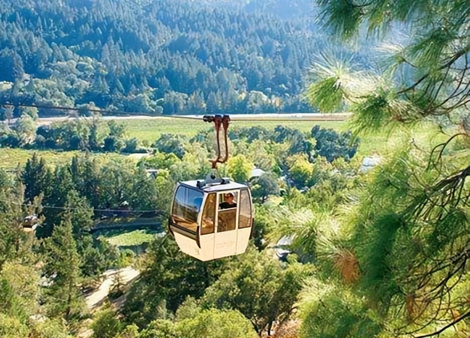 酒类品牌纷纷入局体验经济