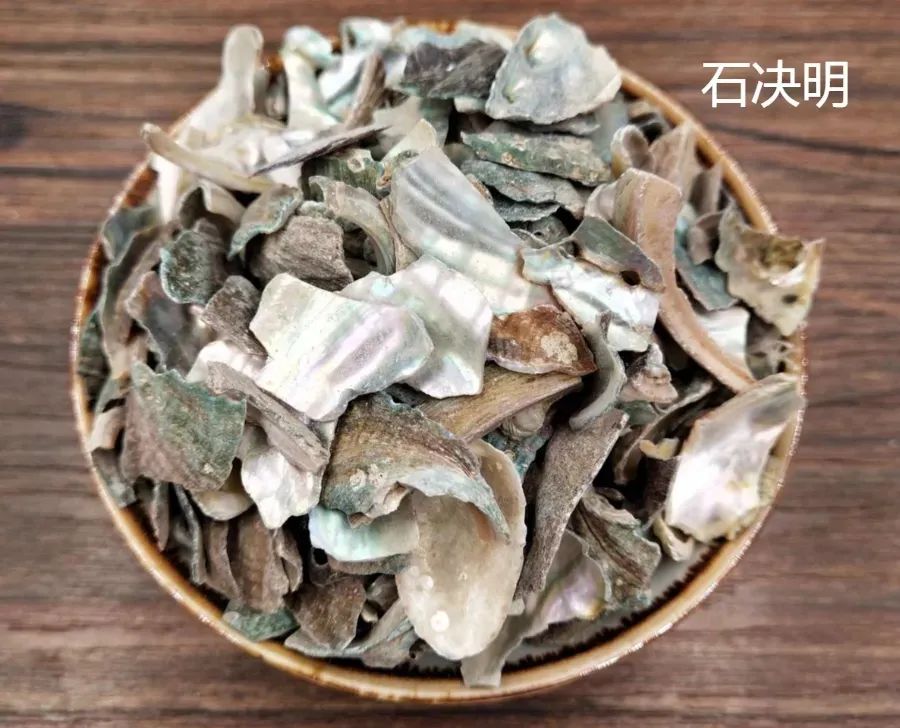 石决明的功效与作用（石决明的产地和主治病证）