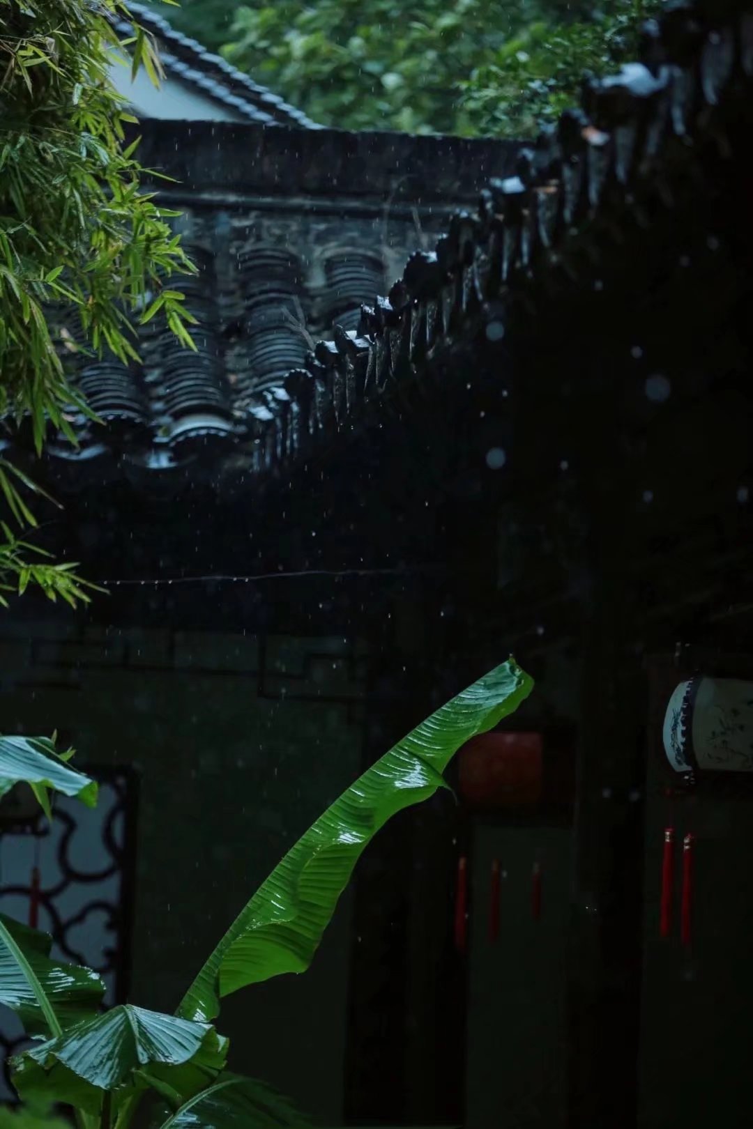 夏天的雨,散文3