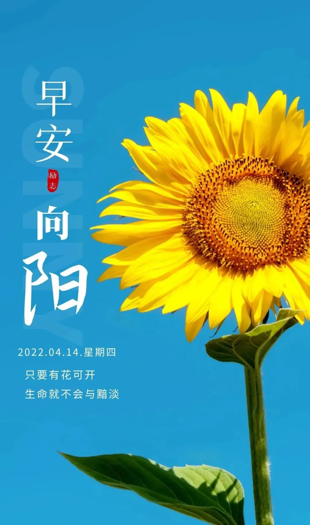 「2022.04.14」早安心语，正能量最棒心情语录句子 早上好问候图片