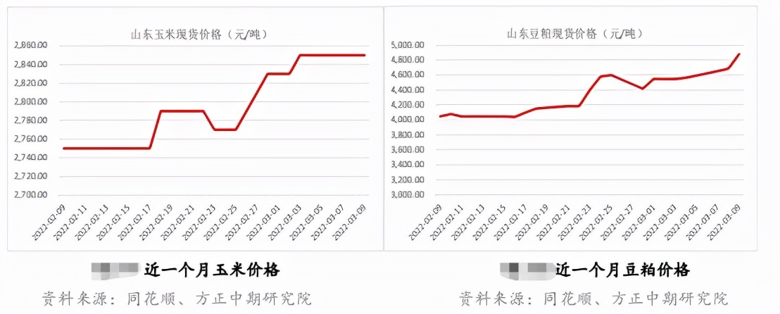 鸡蛋也疯狂，期市“绿肥红瘦”蛋价还在涨？