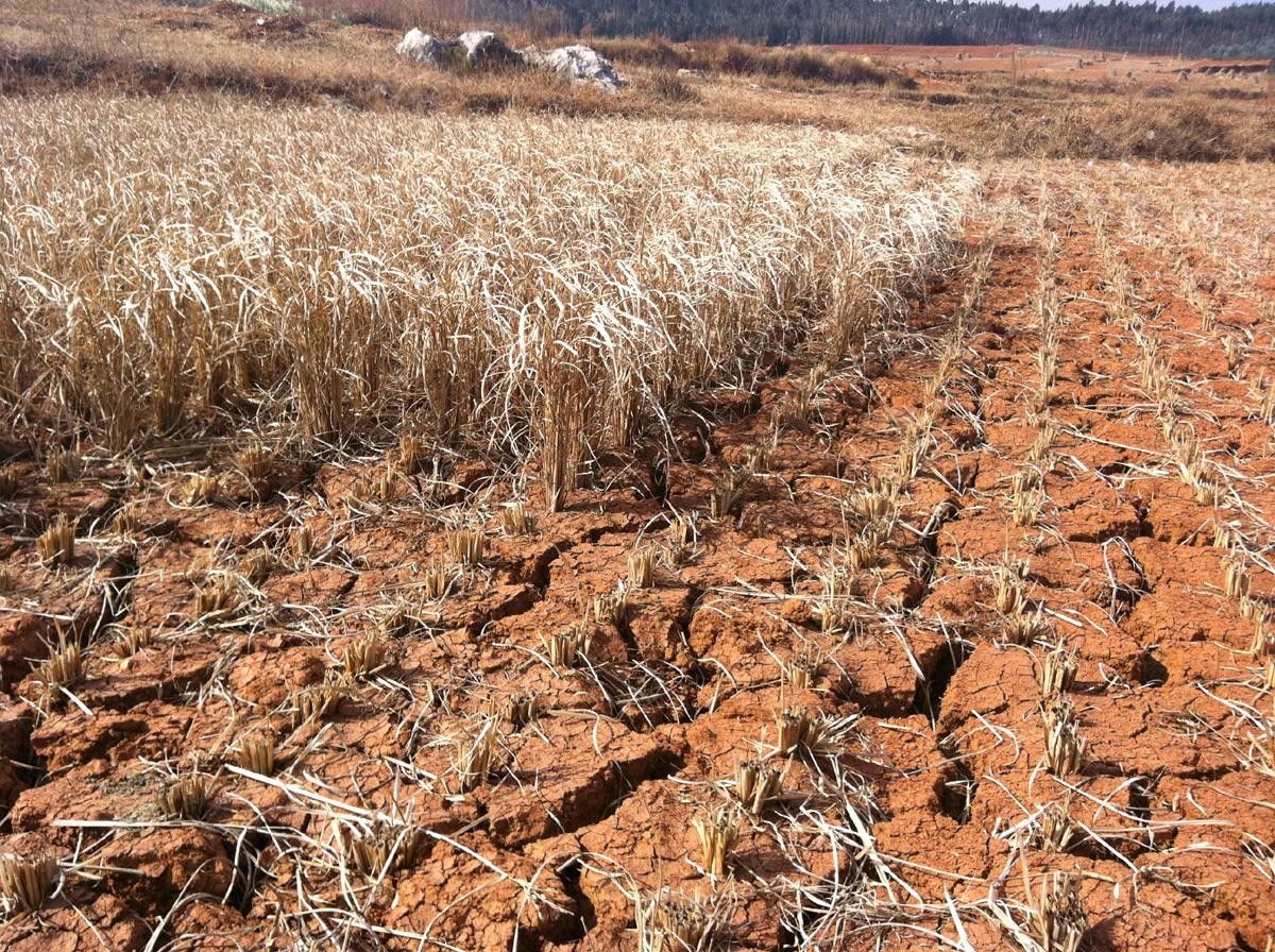 十种常见的自然灾害(盘点历史10大自然灾害大全)