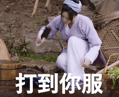 梦华录刘亦菲表情包