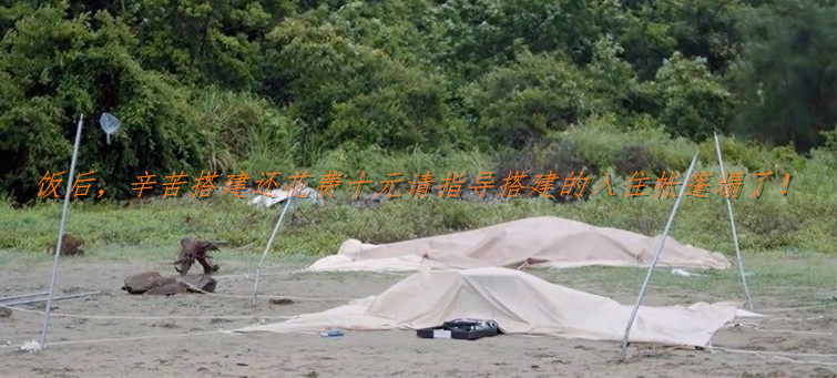 热“综”推荐，6个大男人，错过，你就失去了这个夏天最大的快乐