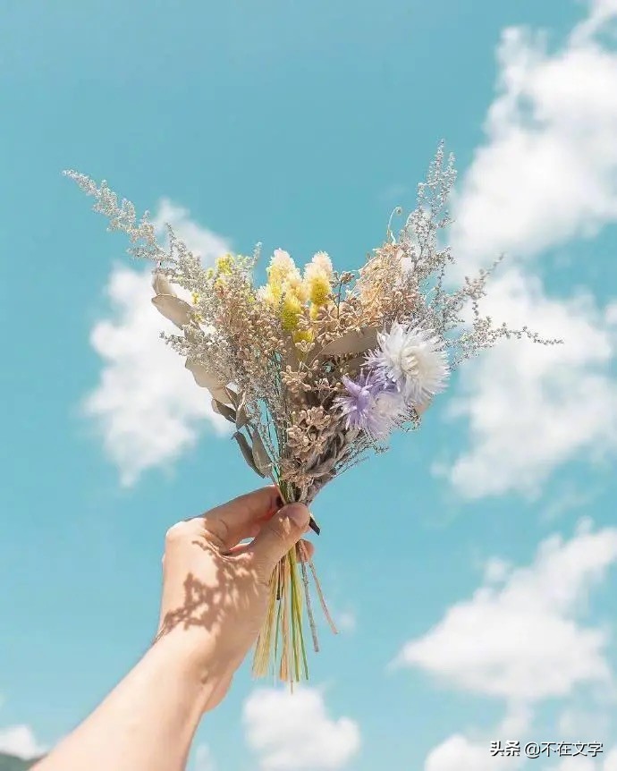 积极向上的限量版句子，阳光向上，句句精妙