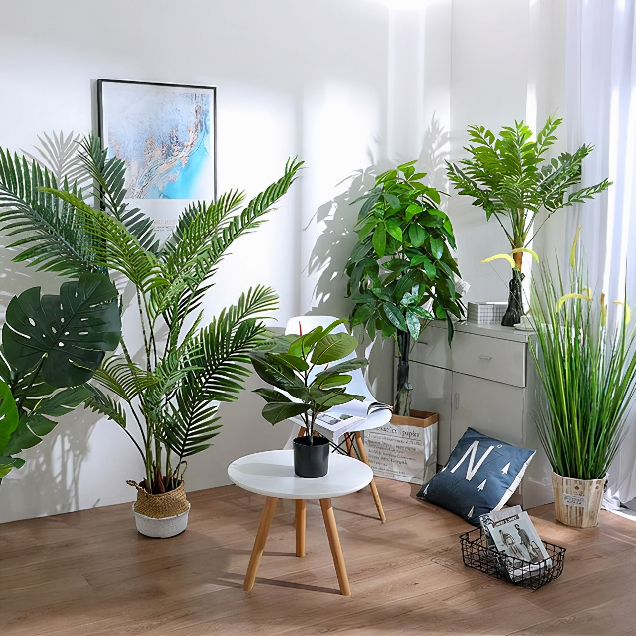 客厅养花“讲究大”，别随便，这6种，贵气不俗，养人旺家