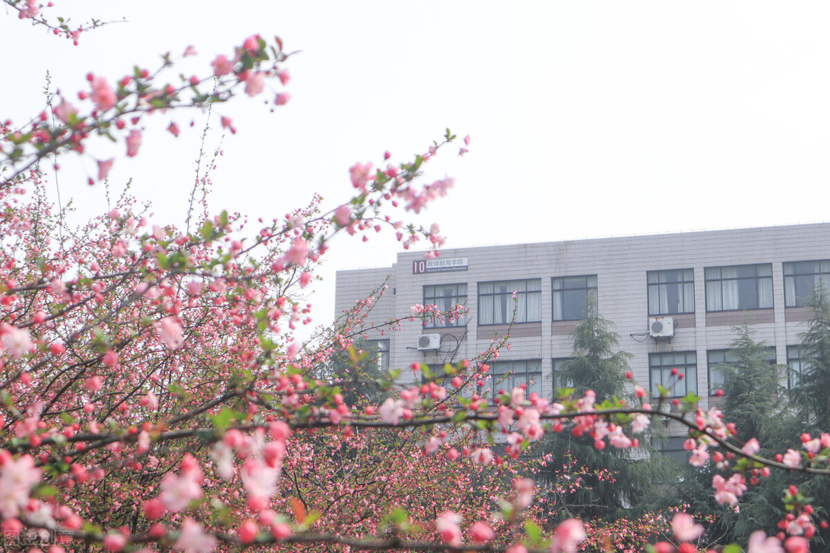 新一轮西安大学合并（这5所）