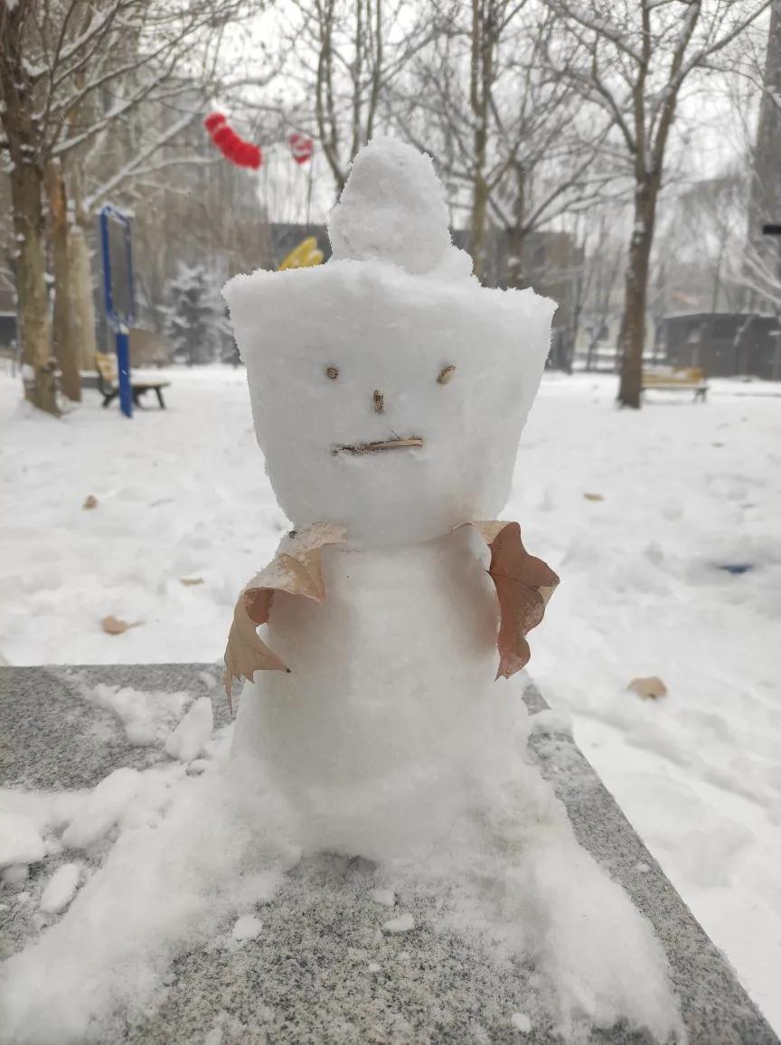 今天的北京披了一層雪白的銀裝 為緊張的冬奧添加一道美麗風景 天天看點