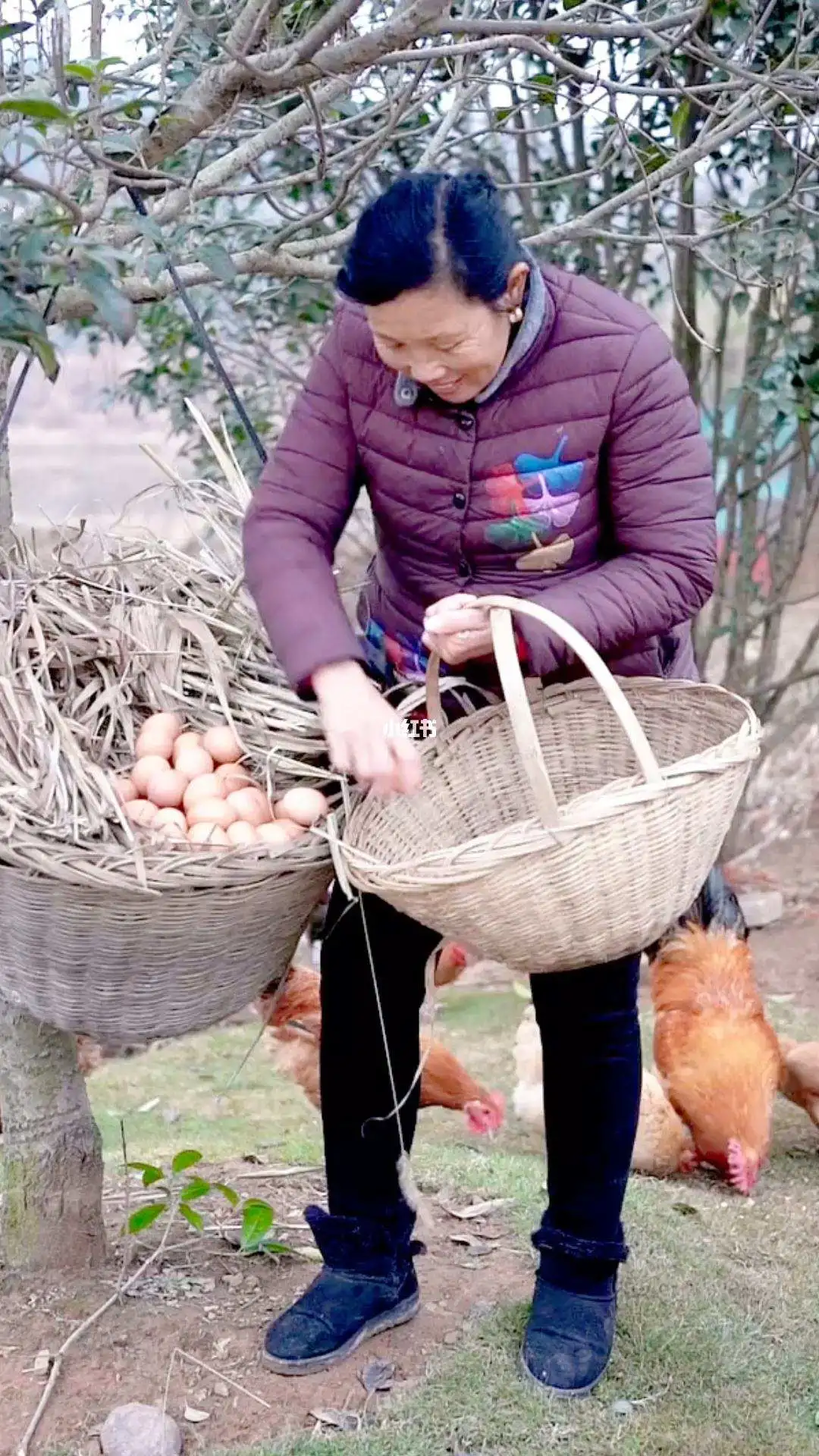 回村创业,却年赚千万!中国最土网红爆火,谁是背后推手?