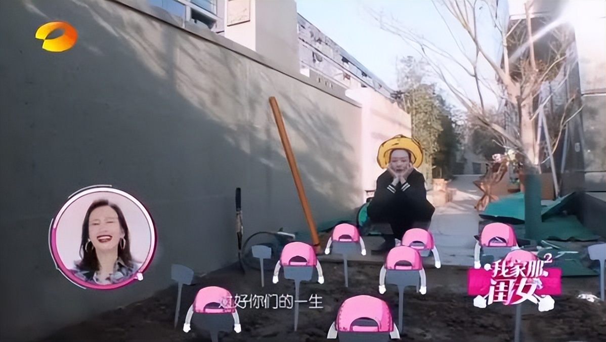 是女明星也是“菜农”！柳岩吃过刘亦菲种的茄子，张馨予家有农场