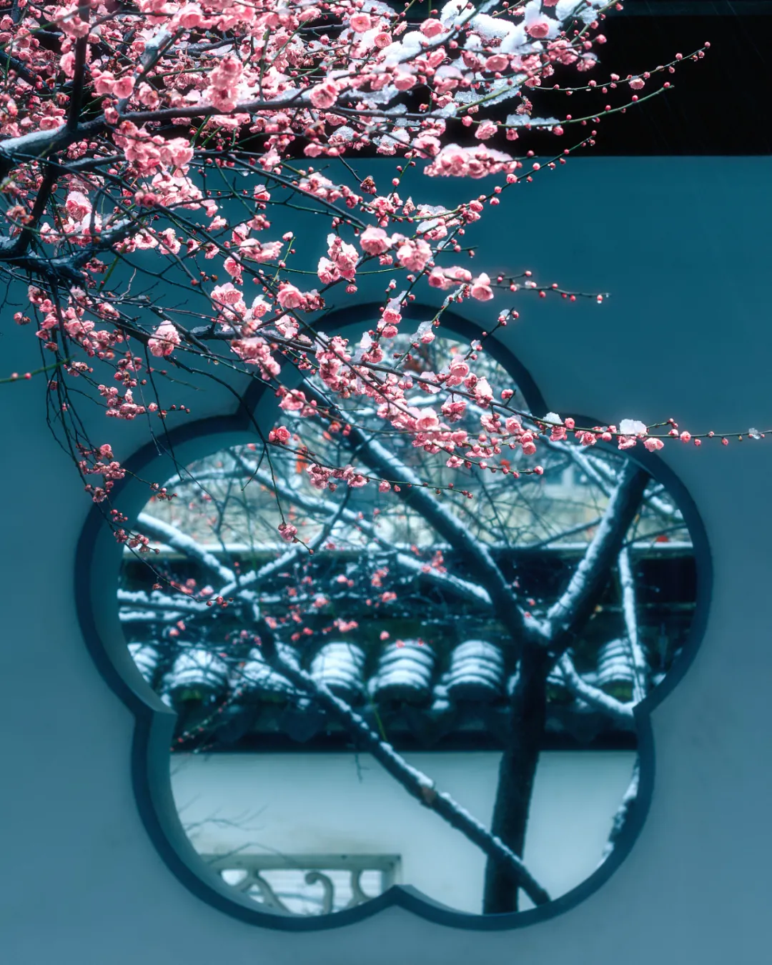 ⷨԷմ