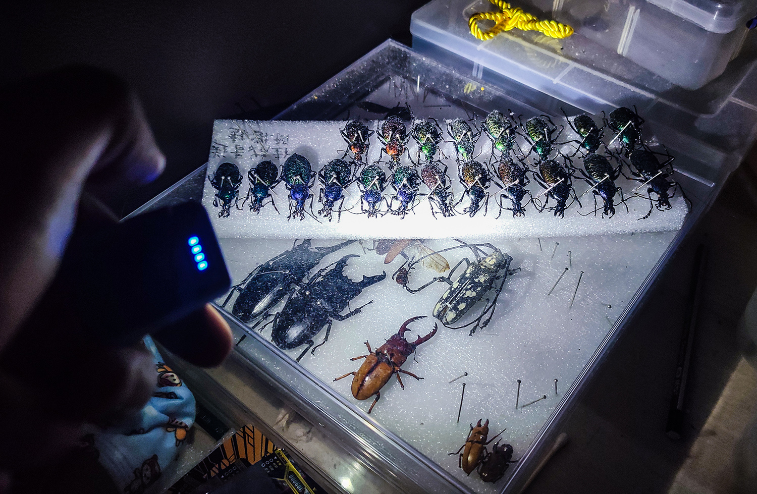 鸞鳳爭鳴，歷史之光：FENIX APEX 20限量版手電