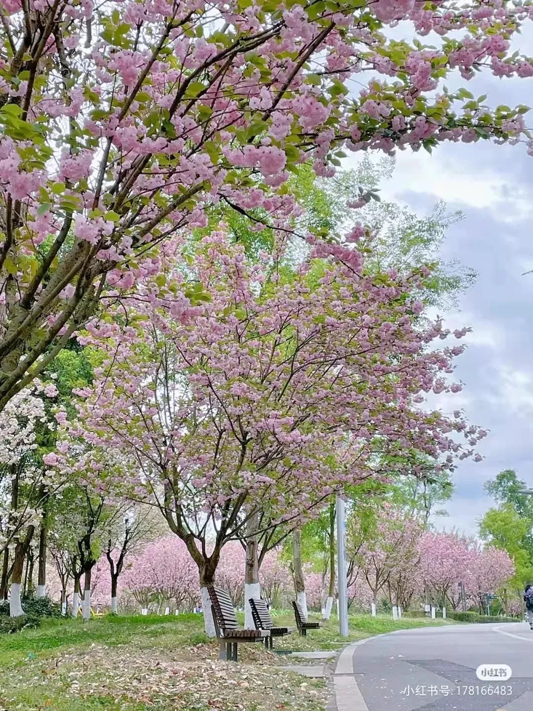 又是一年野餐季！北京这10家适合露营野餐的公园，有时间一定要打卡