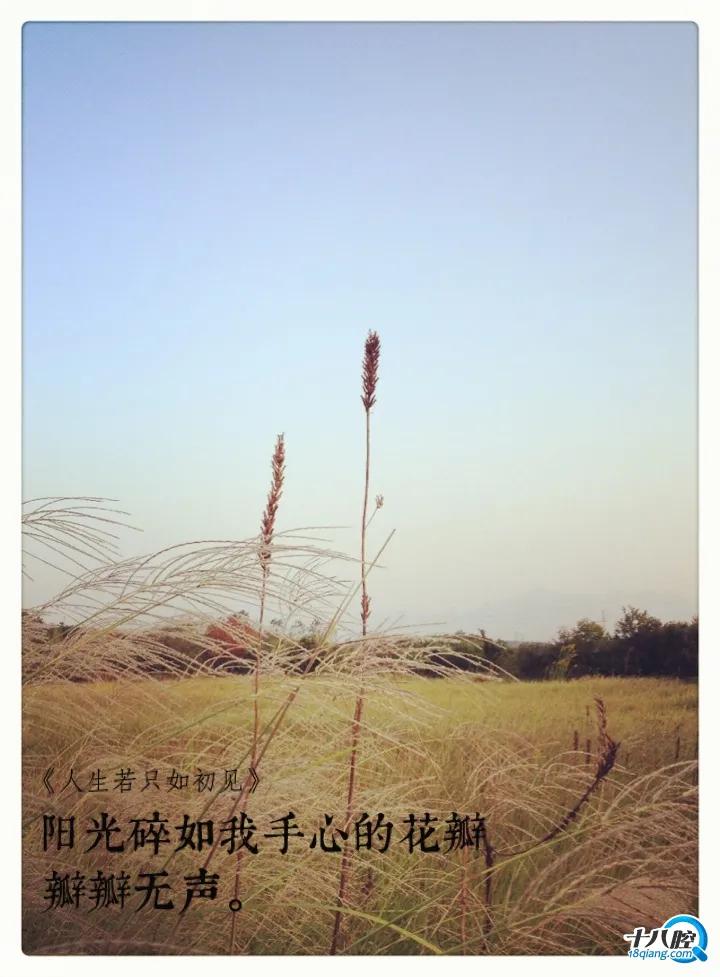 回忆过去感悟语录