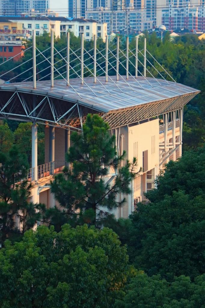 湖北超强学霸：丧失嗅觉，“逆袭”全班第一，斩获美国竞赛大奖