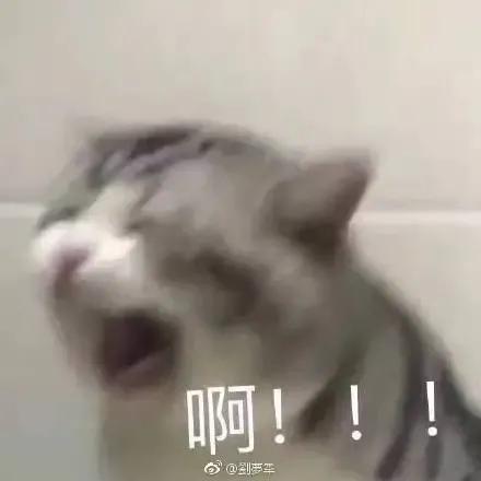 沙雕表情包