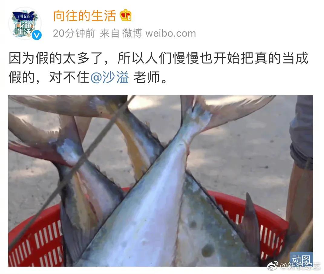 网传《向往的生活》没有第七季，制作公司明确回应，答案相当肯定