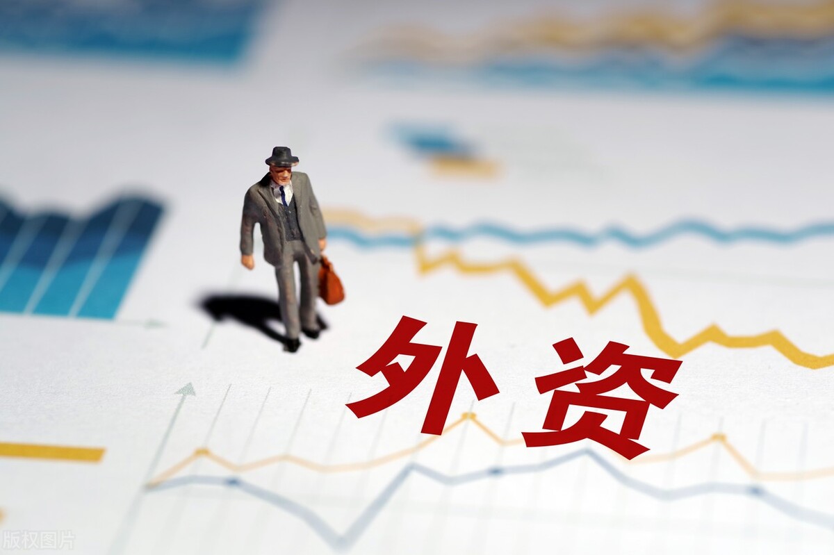 数据显示：前5月使用外资同比增17.3%，IT外包服务忙