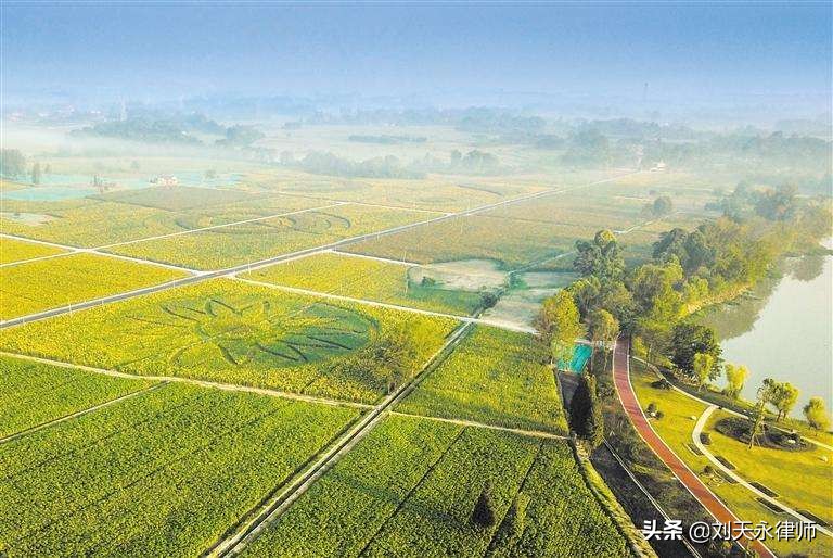 带头蹄尾就不算猪白条？农产品进项税额核定扣除暗藏涉税风险