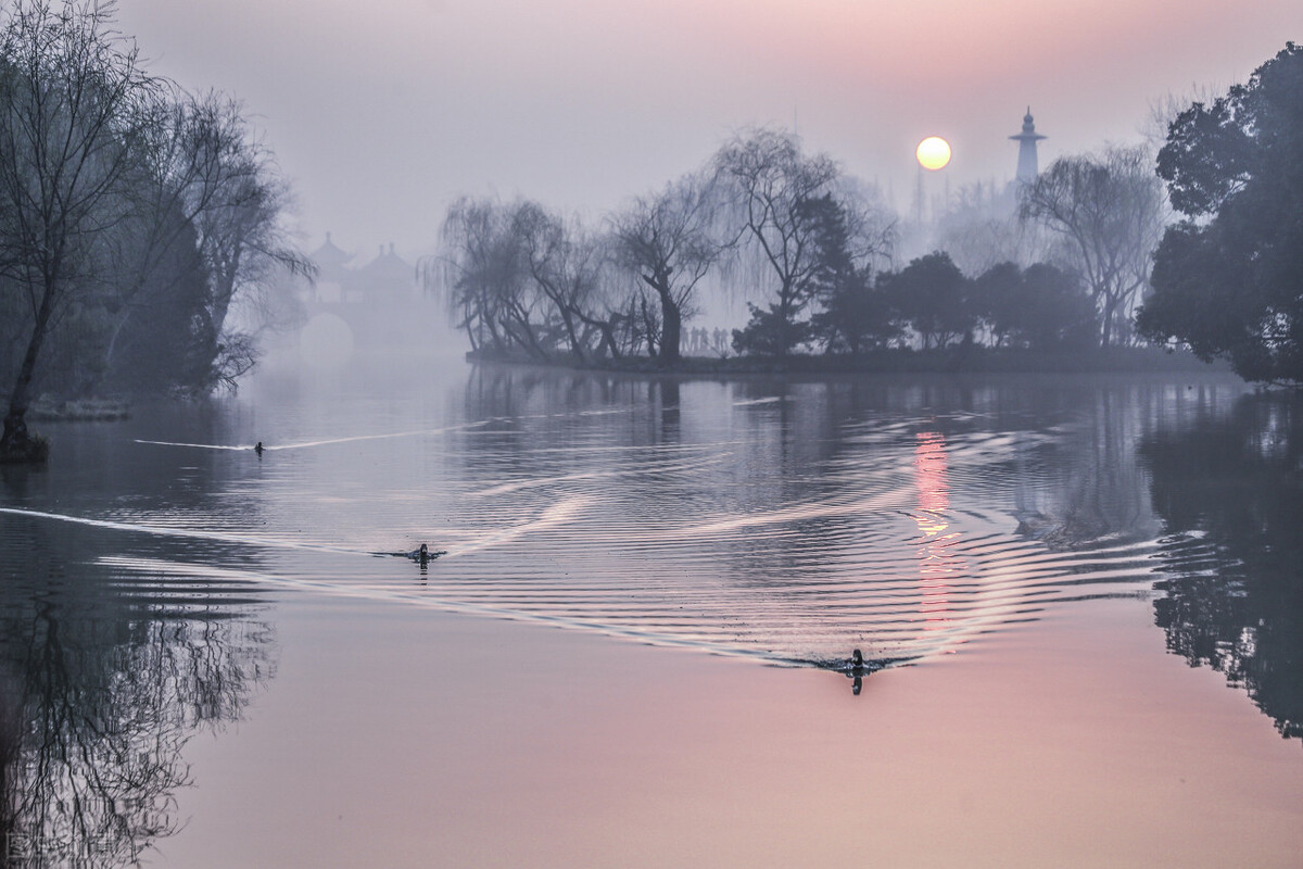 “十三五”期间中小学学科教育教学研究热点分析