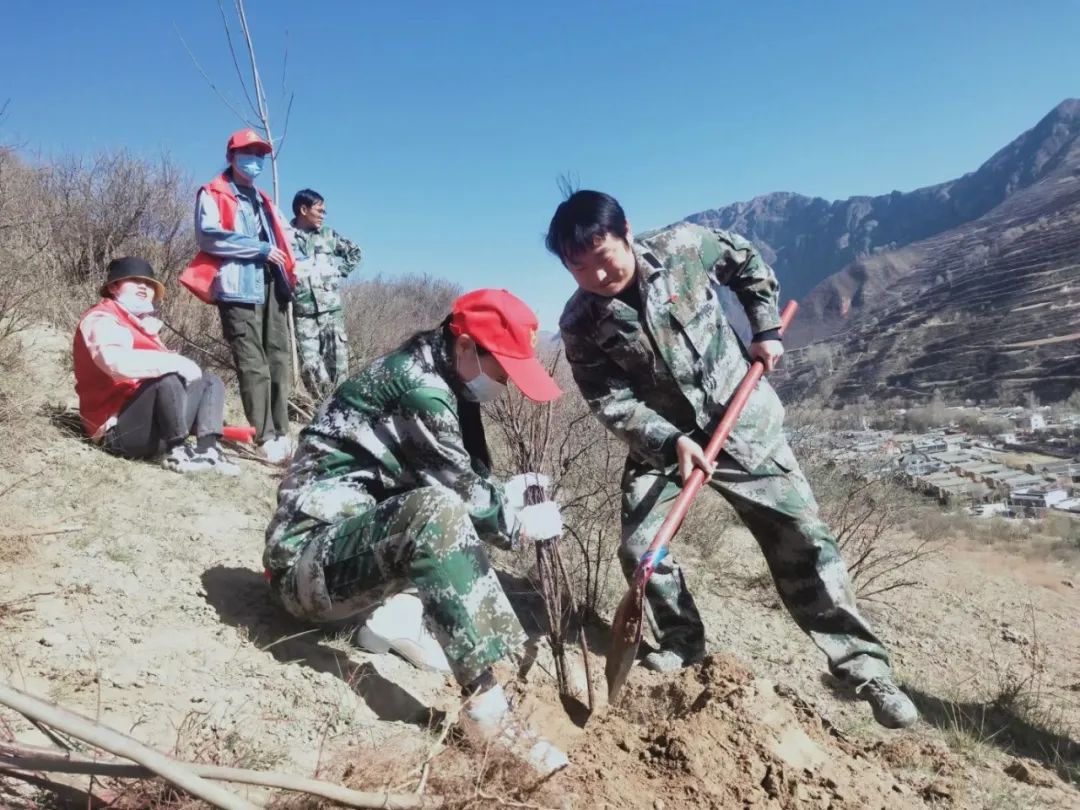 临潭县各乡镇各部门拉开春季义务植树序幕