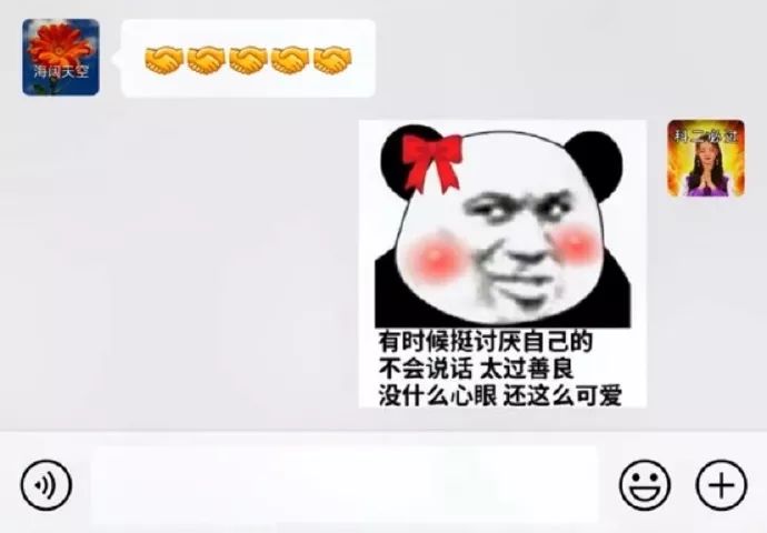 小猫的生日礼物（猫咪过生日送什么礼物）
