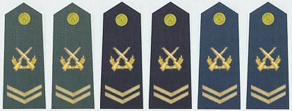 四级军士长领章图片图片