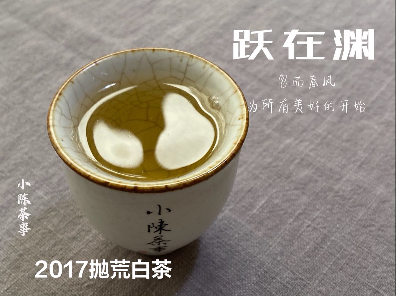 绿茶、白茶、岩茶、红茶、普洱茶，都是越陈越好吗？现在有答案了