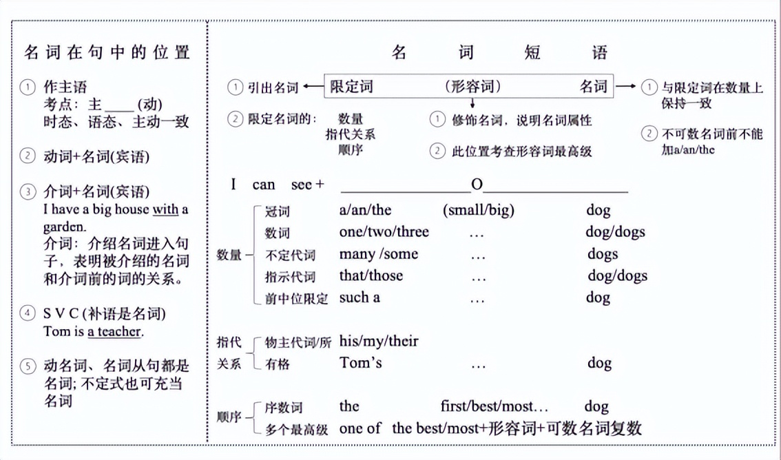 一句话讲清楚跟名词有关的所有词！《成人英语语法简译本》章节六